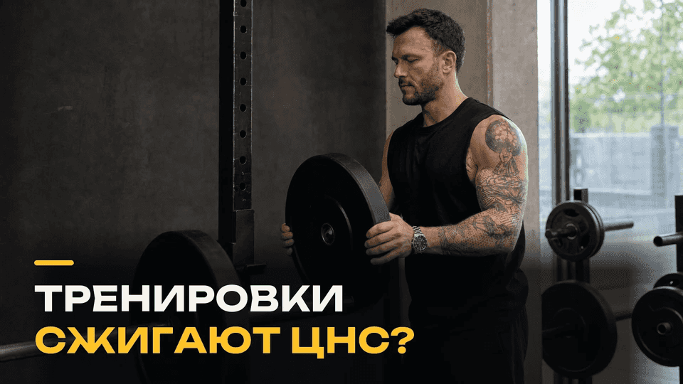 Усталость ЦНС после тренировки: что показывают исследования