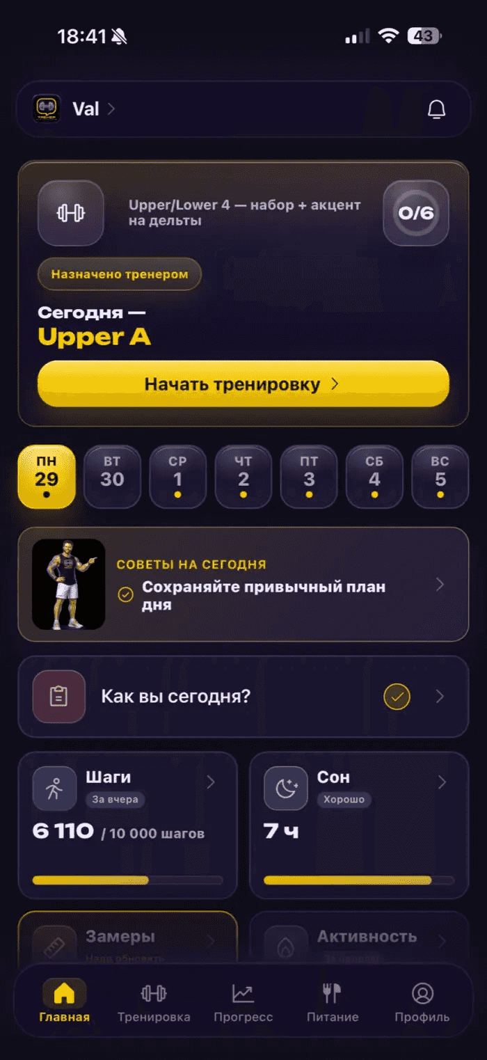 Экран сводки в приложении «Тренер в кармане»